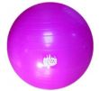 Picture of 55cm - Wellness Ball, Pink