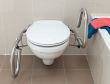 Picture of Throne 3 in 1 Toilet Rail - Powder Coated