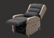 Picture of Ascent Medical Lift Chair - Dual Motor, Trufa