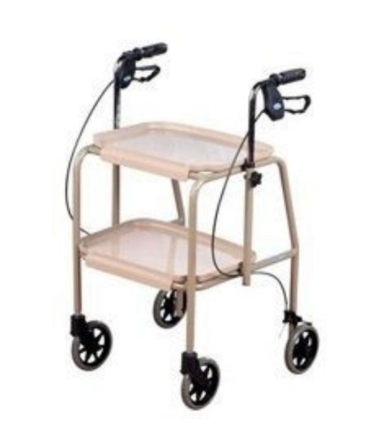 Picture of Trolley Walker - Beige Colour 