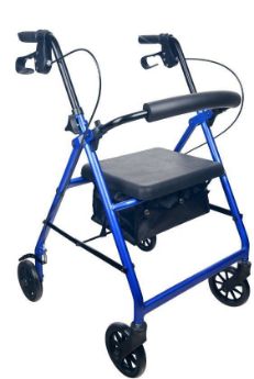 Show details for Territory Walker - Blue Colour Picture of Territory Walker - Blue Colour