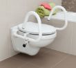 Picture of Throne 3 in 1 Toilet Rail - Powder Coated