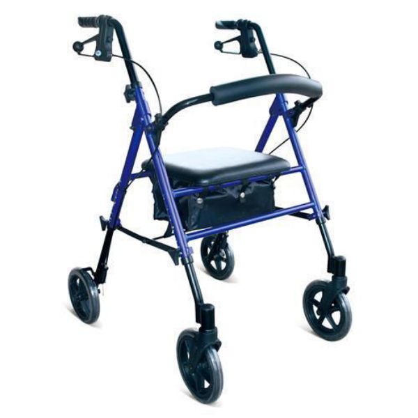 Picture of Days Standard Walker - Blue 