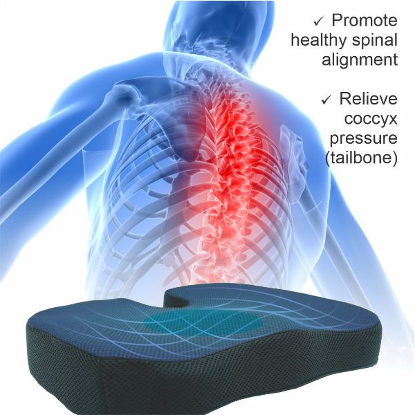 Picture of Cushion Wedge Coccyx Out